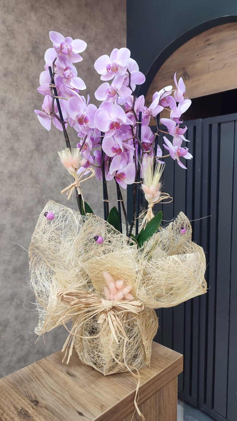 Seramikte Pembe Orkide